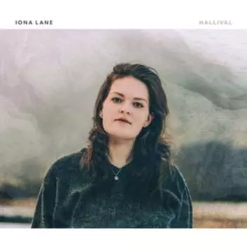 Виниловая пластинка Hudson Music - Hallival