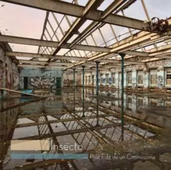 Виниловая пластинка Insecto - Post Edit De Un Cromosoma