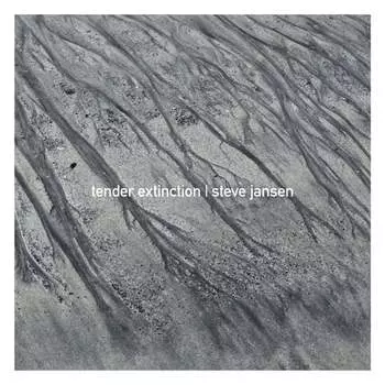 Виниловая пластинка Jansen Steve - Tender Extinction