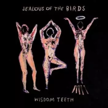 Виниловая пластинка Jealous Of The Birds - Wisdom Teeth