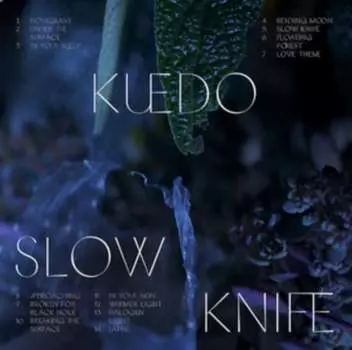 Виниловая пластинка Kuedo - Slow Knife