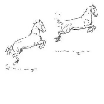 Виниловая пластинка Leo Hofmann - Kapriole