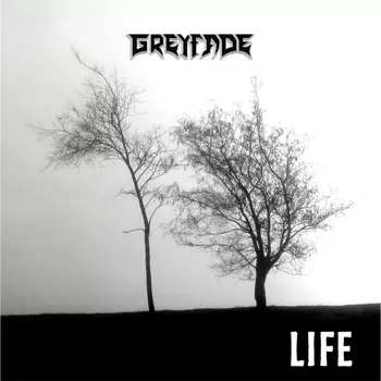 Виниловая пластинка Life | Grey Fade