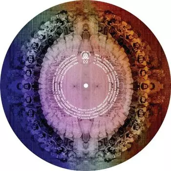 Виниловая пластинка LP Carpark Sweet Sixteen Basketball Picture Disc - Various Artists