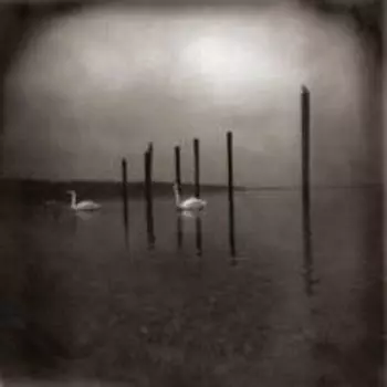 Виниловая пластинка LP Conference Of The Birds - Om