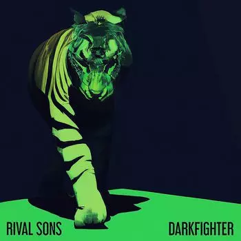 Виниловая пластинка LP Darkfighter - Rival Sons