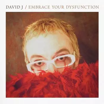 Виниловая пластинка LP Embrace Your Dysfunction [Red/White Haze Vinyl] - David J