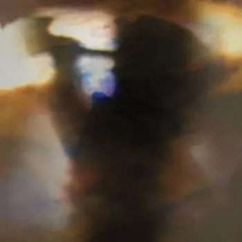 Виниловая пластинка LP Fall Be Kind Ep [180 Gram Vinyl] (12") - Animal Collective