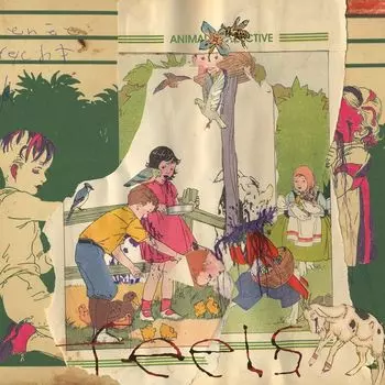 Виниловая пластинка LP Feels - Animal Collective