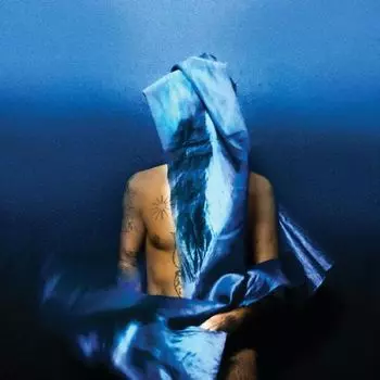 Виниловая пластинка LP Flying Wig - Devendra Banhart