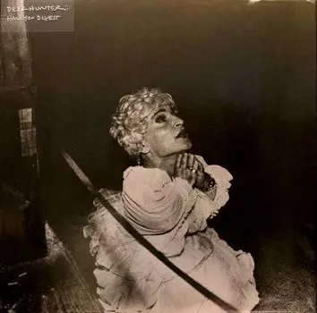 Виниловая пластинка LP Halcyon Digest - Deerhunter