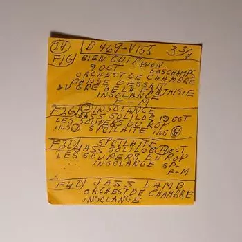 Виниловая пластинка LP Here Comes The Cowboy Demos - Mac DeMarco