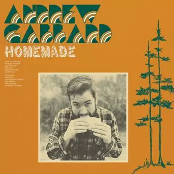 Виниловая пластинка LP Homemade [Camo Green Vinyl] - Andrew Gabbard