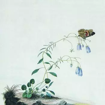 Виниловая пластинка LP I: The Suicide Tree / II: A Rose From The Dead [Colored Vinyl] - Botanist