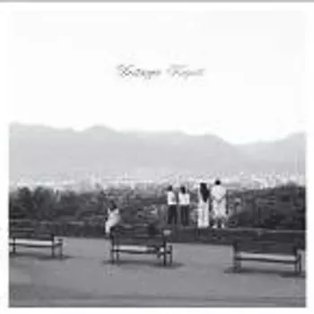 Виниловая пластинка LP Kaputt - Destroyer