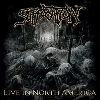 Виниловая пластинка LP Live In North America [Gold & Black Splatter Vinyl] - Suffocation