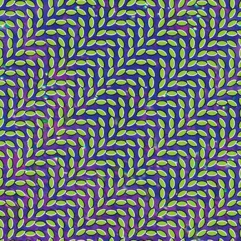 Виниловая пластинка LP Merriweather Post Pavilion [15th Anniversary Bluish & Translucent Green Vinyl] - Animal Collective