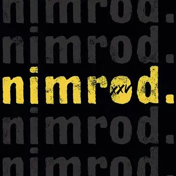 Виниловая пластинка LP Nimrod [25th Anniversary Silver Vinyl] - Green Day