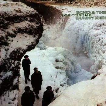Виниловая пластинка LP Porcupine - Echo & The Bunnymen