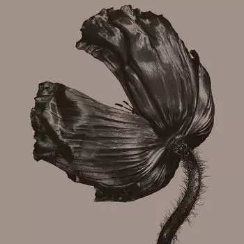 Виниловая пластинка LP Release [Remastered 180 Gram Vinyl] - Pet Shop Boys