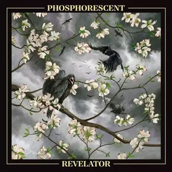 Виниловая пластинка LP Revelator [Black Ice Vinyl] - Phosphorescent