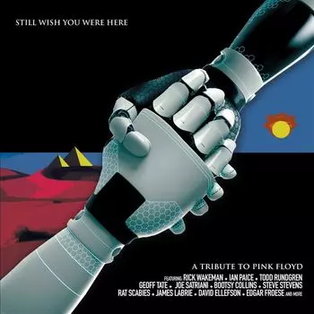 Виниловая пластинка LP Still Wish You Were Here: A Tribute To Pink Floyd - Various Artists