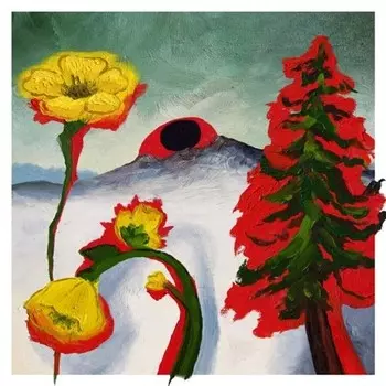 Виниловая пластинка LP Strange To Explain - Woods