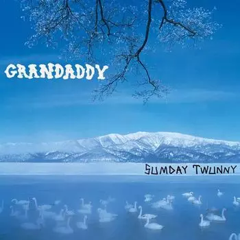 Виниловая пластинка LP Sumday: Twunny [Box Set] - Grandaddy