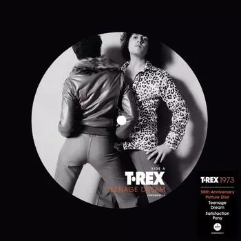Виниловая пластинка LP Teenage Dream / Satisfaction Pony [Picture Disc] (7") - T. Rex