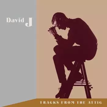 Виниловая пластинка LP Tracks From The Attic [Box Set] - David J