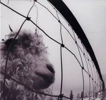 Виниловая пластинка LP Vs. [Remastered 180 Gram Vinyl] - Pearl Jam