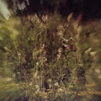 Виниловая пластинка LP Wile / Remembered [Purple Vinyl] (7") - Pluralone