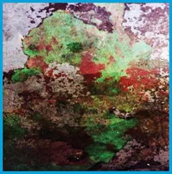 Виниловая пластинка Lst - Th Duo