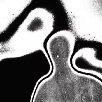 Виниловая пластинка Lunacy - Universal Pressure