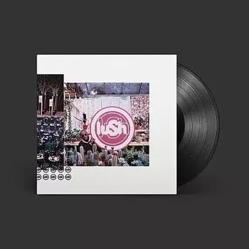 Виниловая пластинка Lush - Lovelife (Remastered)