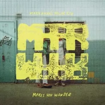 Виниловая пластинка Mary Anne's Polar Rig - Makes You Wonder