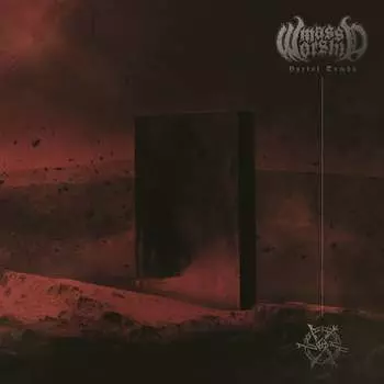 Виниловая пластинка Mass Worship - Portal Tombs