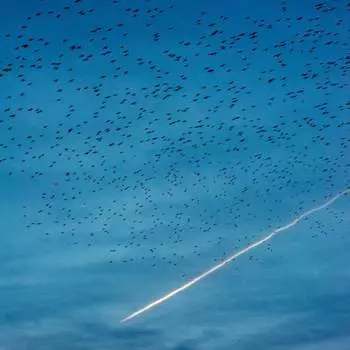 Виниловая пластинка Matteo Myderwyk - Parabel