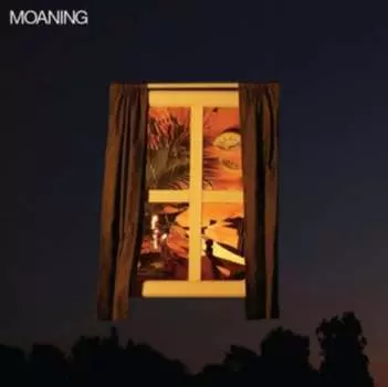 Виниловая пластинка Moaning - Moaning