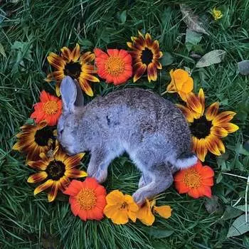 Виниловая пластинка Monolord - Your Time To Shine