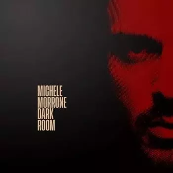 Виниловая пластинка Morrone Michele - Dark Room (Коллекционное издание, 7-дюймовый винил)