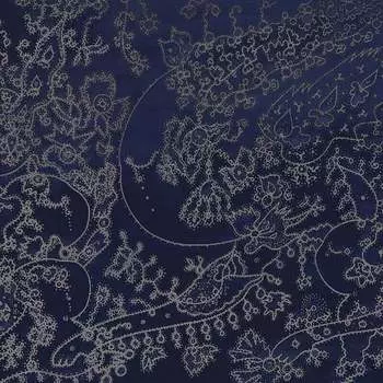 Виниловая пластинка Nianio Sviltlana - Lisova Kolekciya