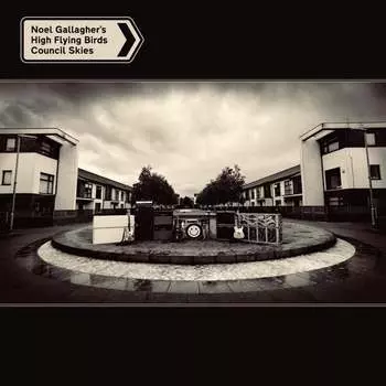 Виниловая пластинка Noel Gallagher's High Flying Birds - Council Skies