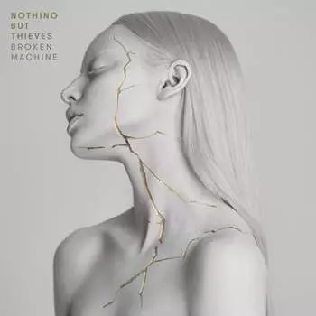 Виниловая пластинка Nothing But Thieves - Broken Machine