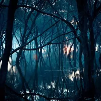 Виниловая пластинка Oneirogen - Kiasma