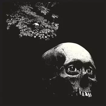Виниловая пластинка Osees - A Foul Form