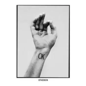 Виниловая пластинка Otherkin - OK