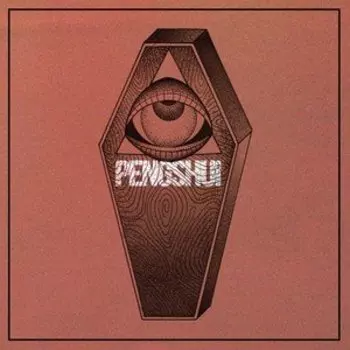Виниловая пластинка PENGSHUi - Destroy Yourself