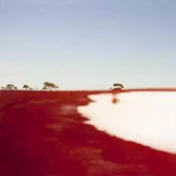 Виниловая пластинка Peter Knight & Australian Art Orchestra - Crossed & Recrossed