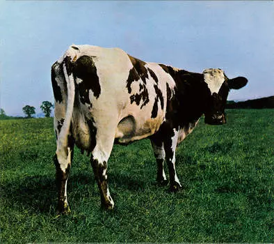 Виниловая пластинка Pink Floyd - Atom Heart Mother (180 GR)